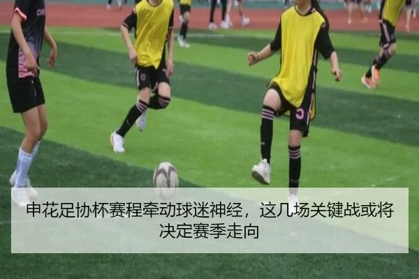 申花足协杯赛程牵动球迷神经，这几场关键战或将决定赛季走向